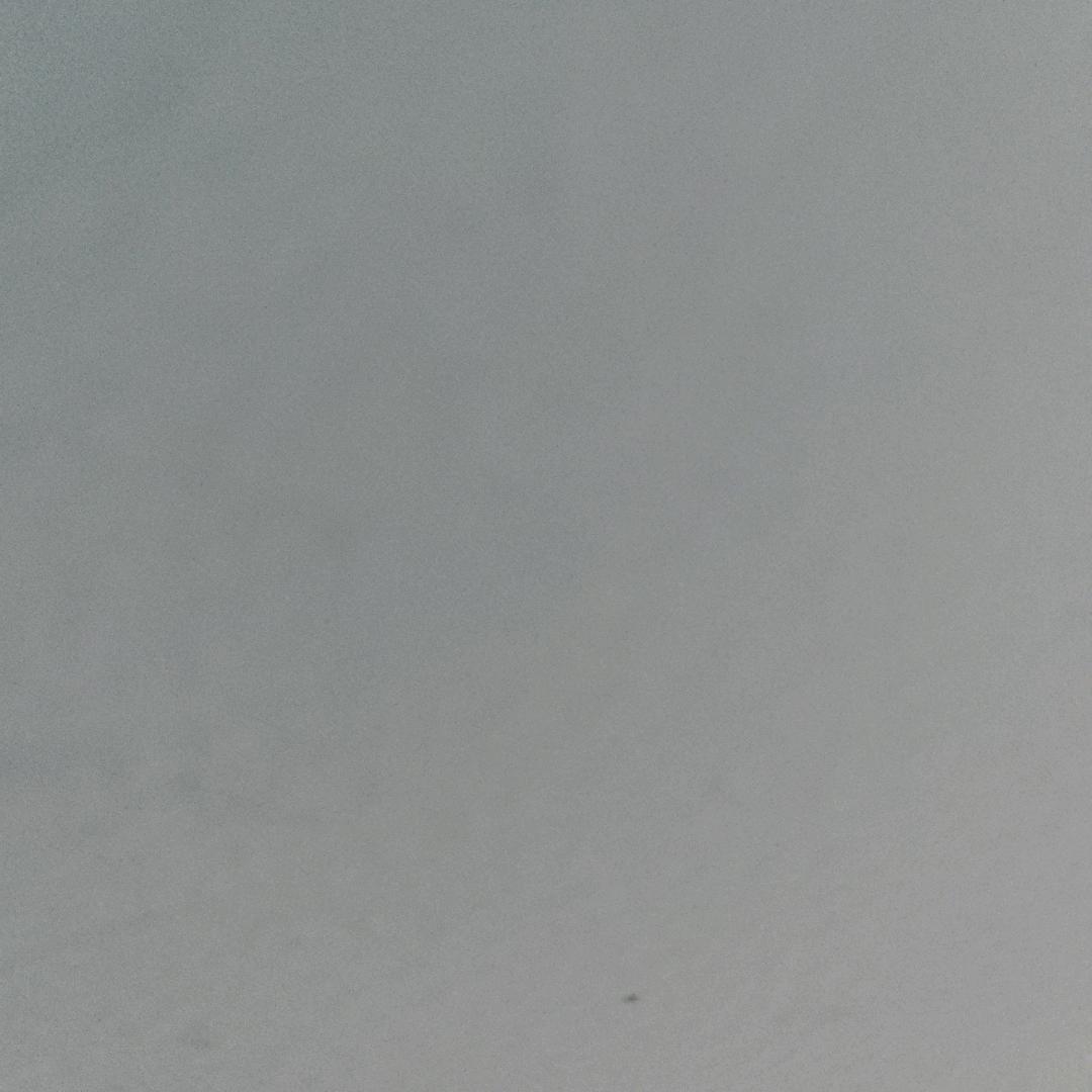 人生太帅飘落在外