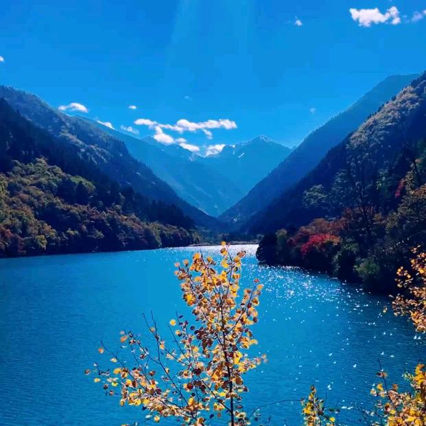 山水重逢客