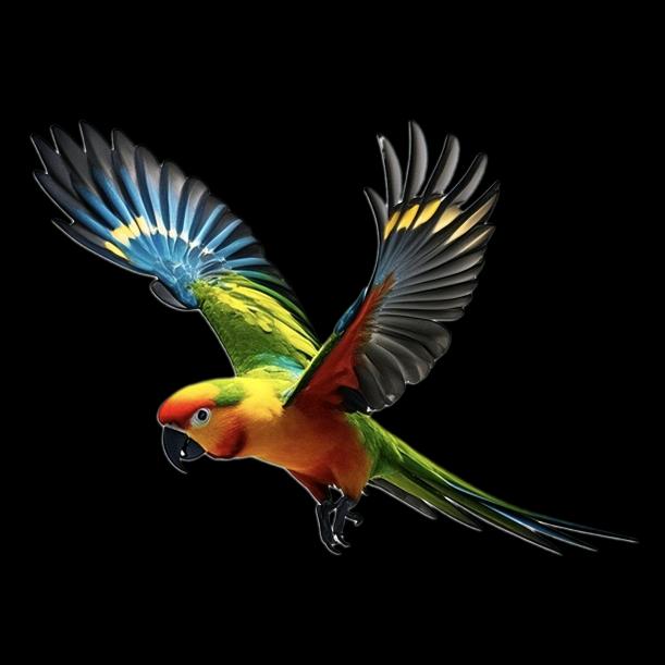 河北衡水瑞特汽车专业贴膜