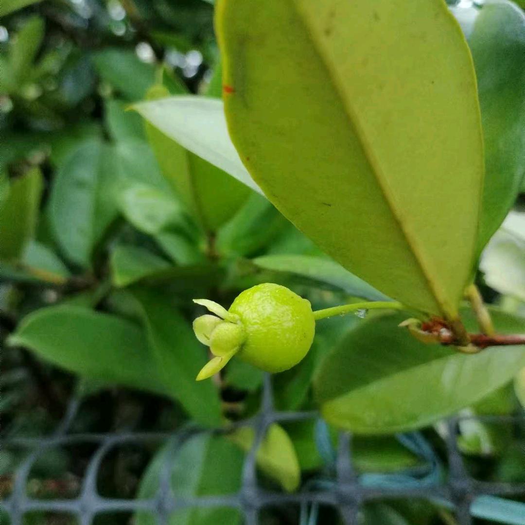 幸福万家