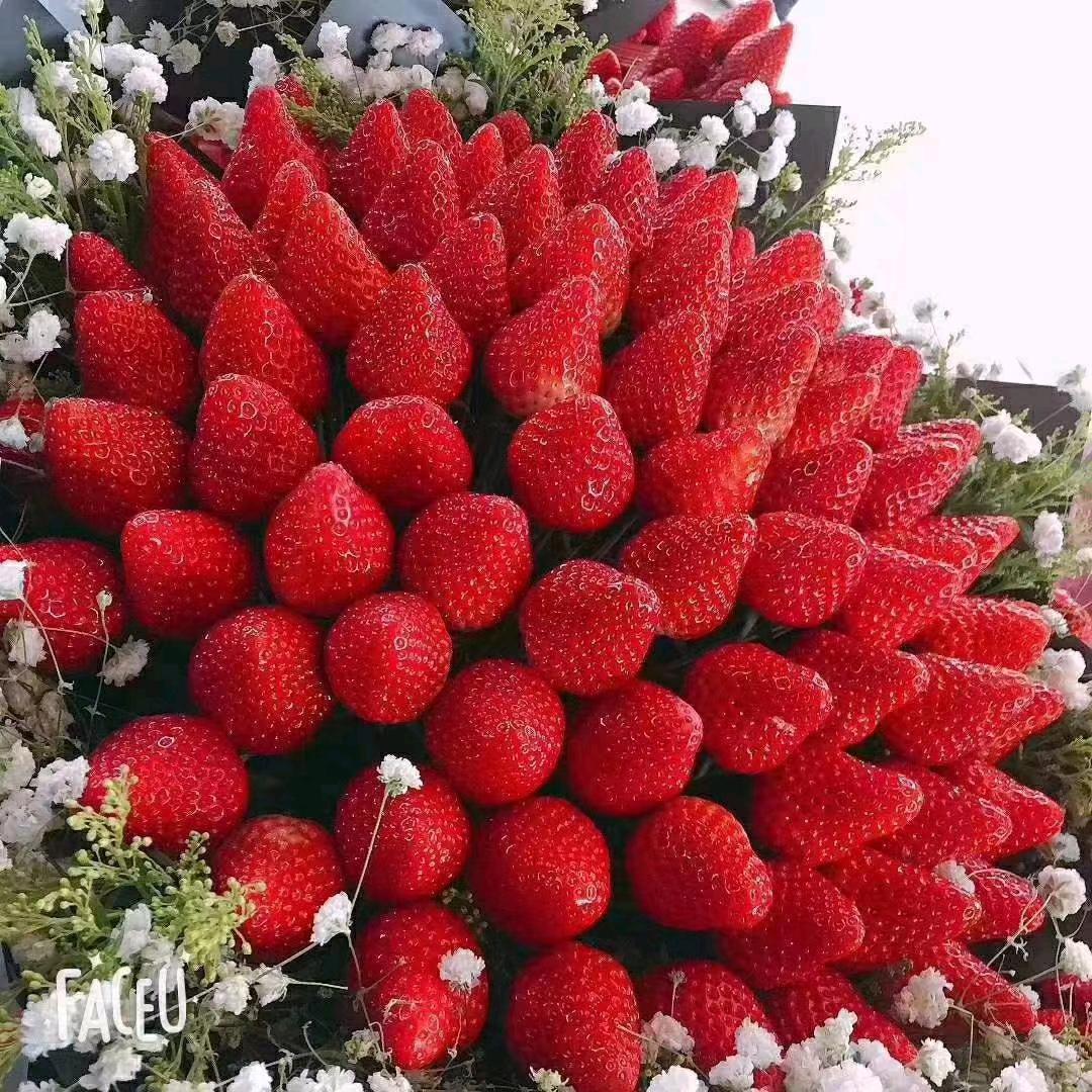 东港九九草莓🍓现摘现发【招代理】