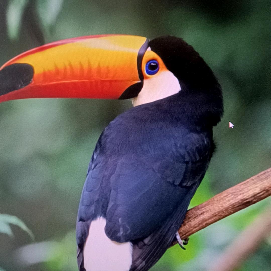 岳阳县默菲百货岳阳县默菲暖暖直播号