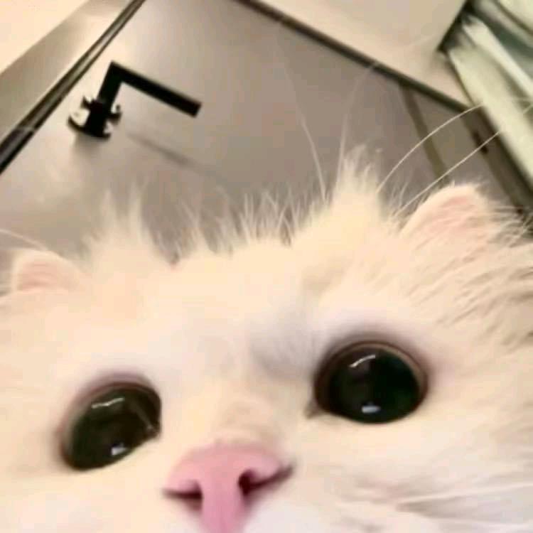 苏小欣