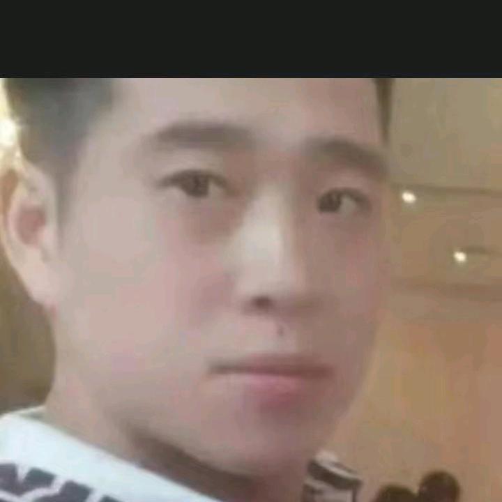 云南泥燕飞浙北