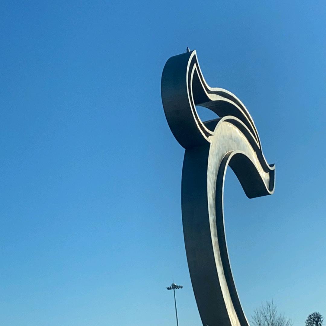 ╭(╯&顺李成张&╰)╮