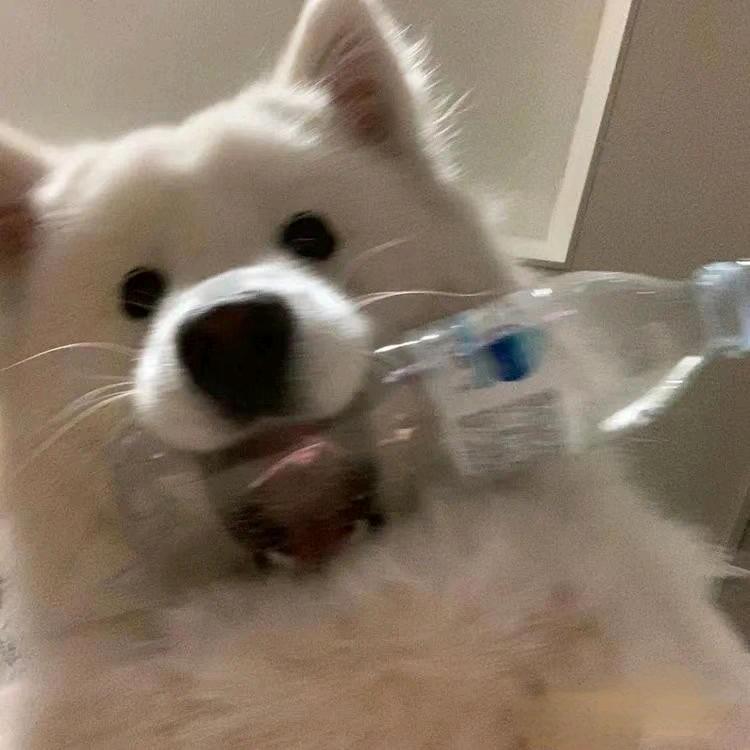 不是山谷℡,