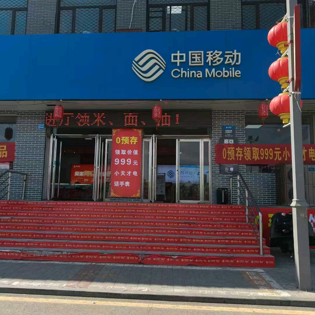天镇移动加盟店