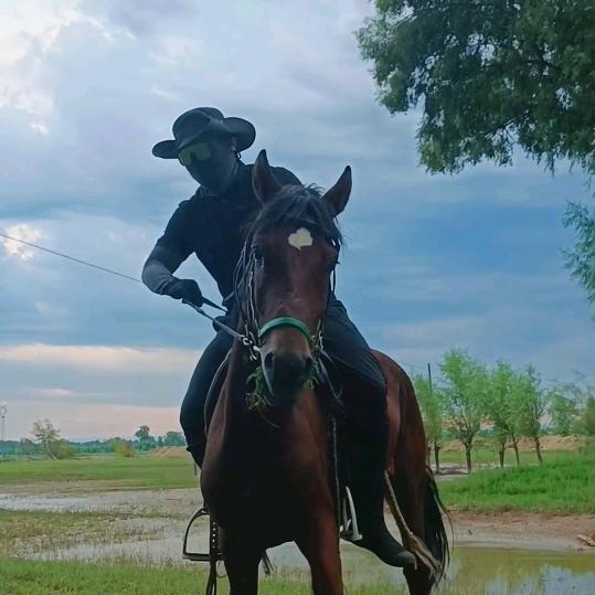 骑骑  马🐴