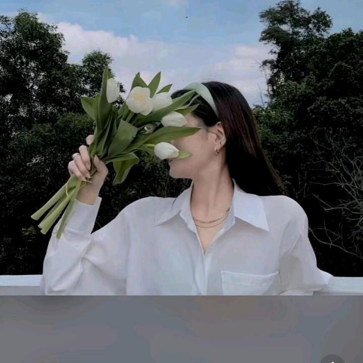 王者昭君