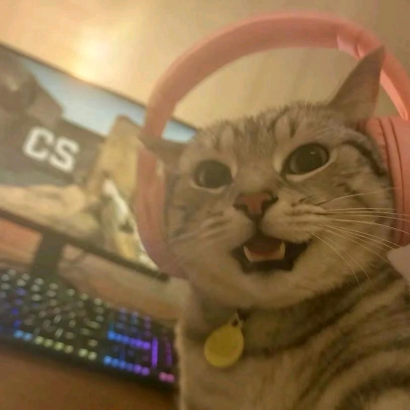 幸福就是睡个好觉