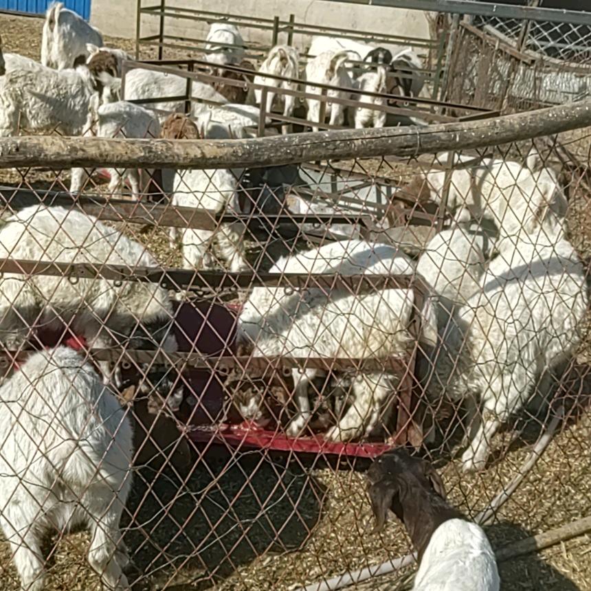 哥已不是当年的哥…！