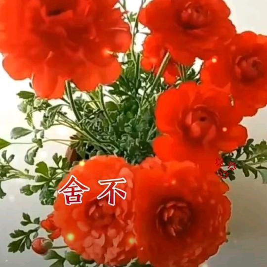 随心所爱