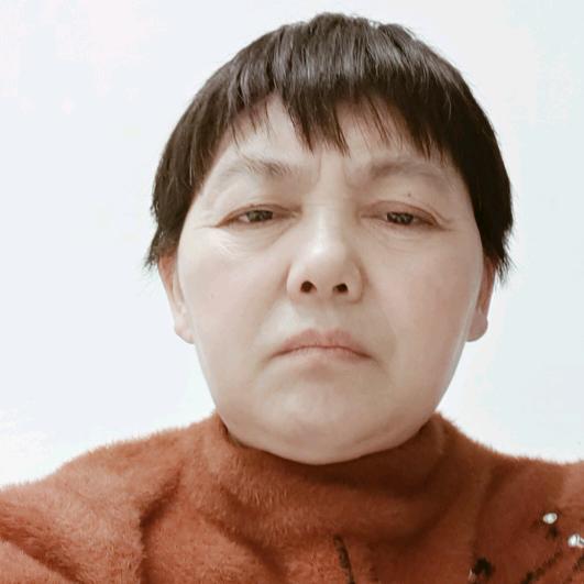向书书