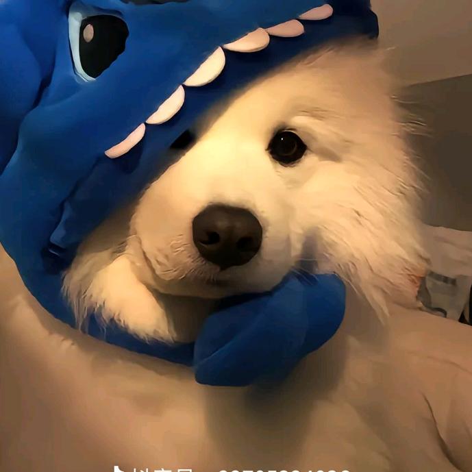 卡快