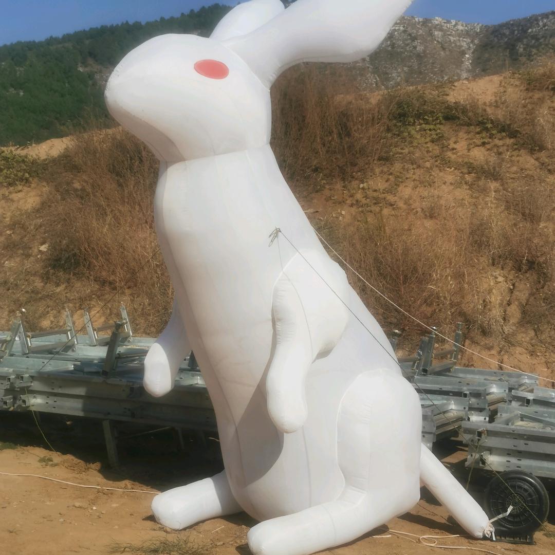 专业老司机小白