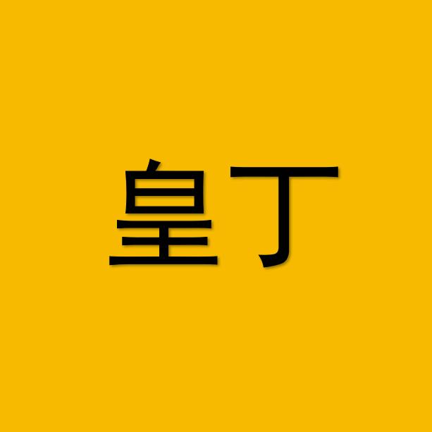 皇丁汽车用品旗舰店