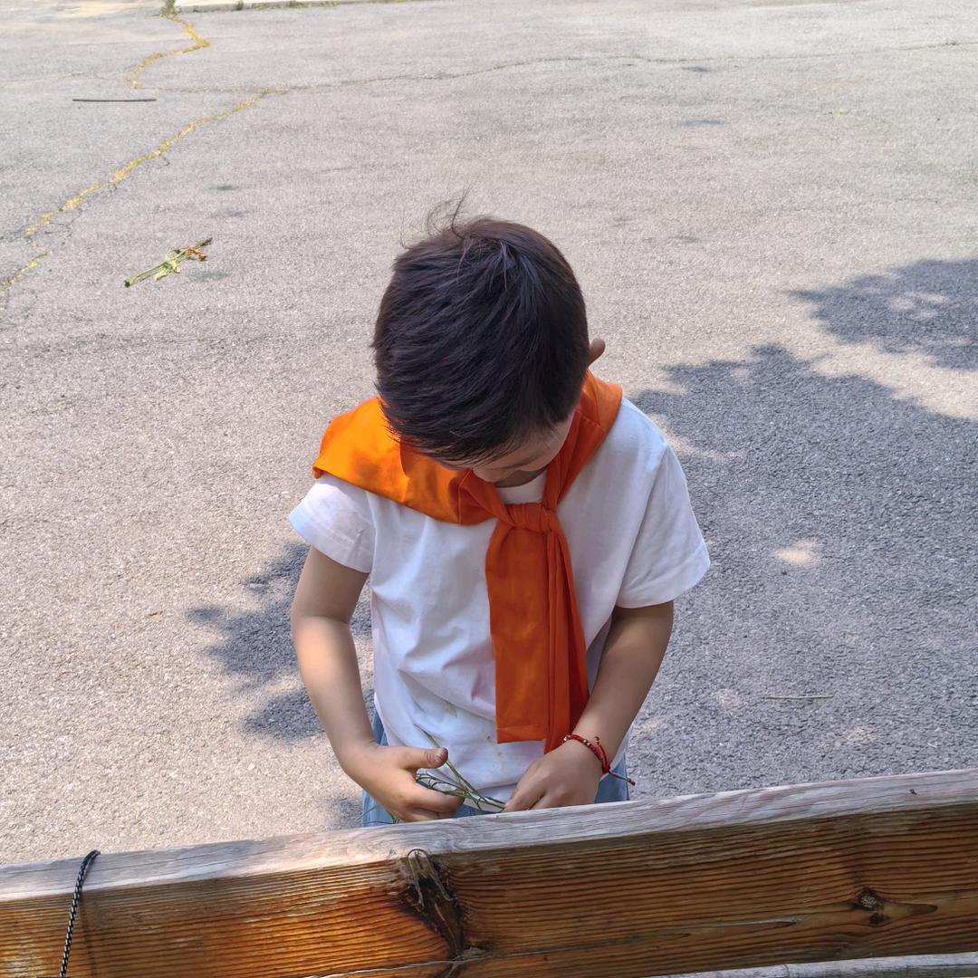 一个喜欢昆虫的6岁小朋友