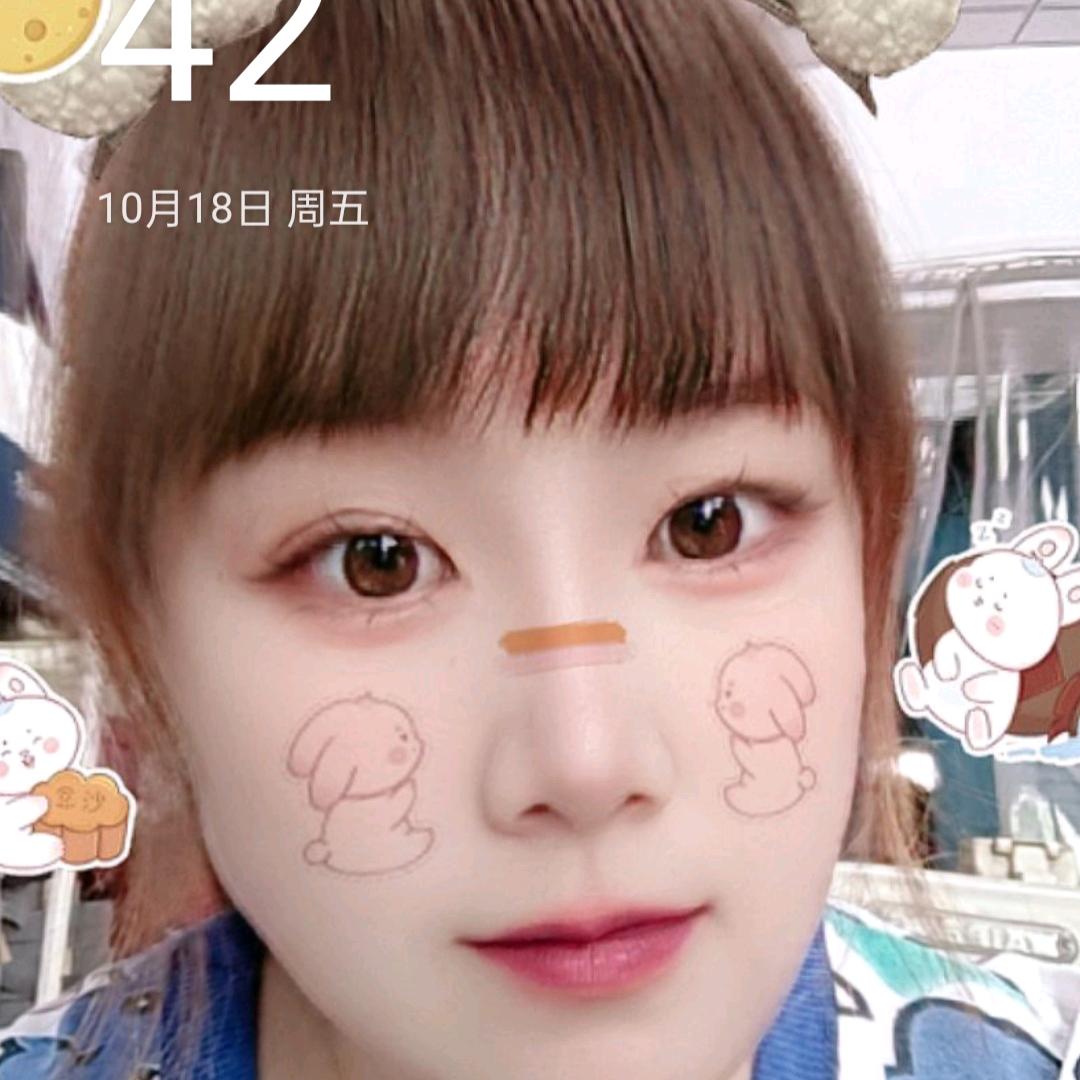 小鸽汽车脚垫坐垫批发