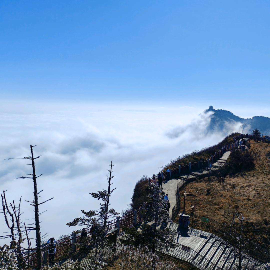 小潘潘