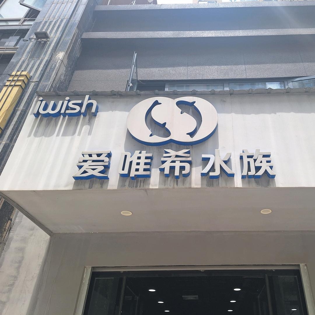 鸿运锦鲤