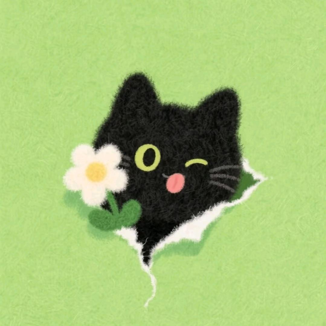 小黑猫