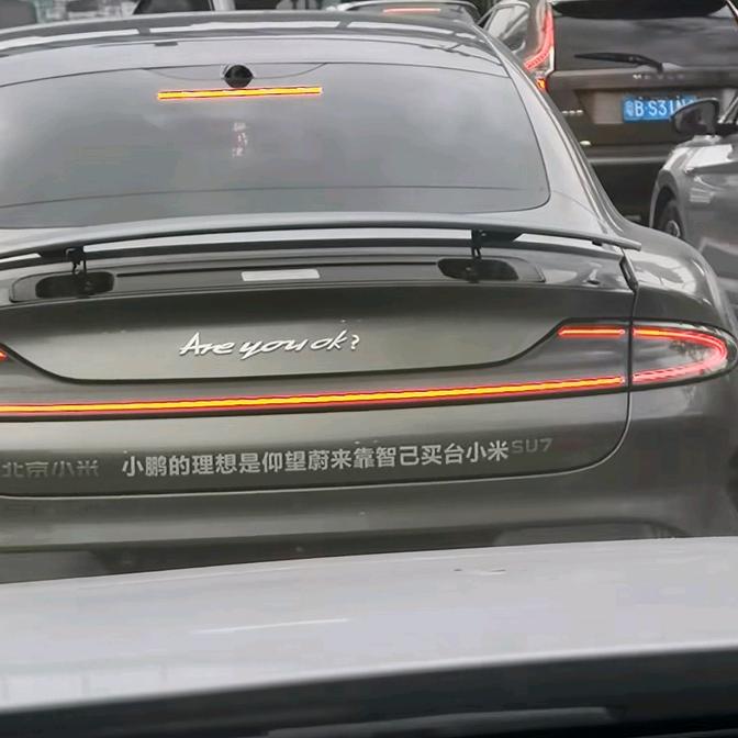 阳仔    👀