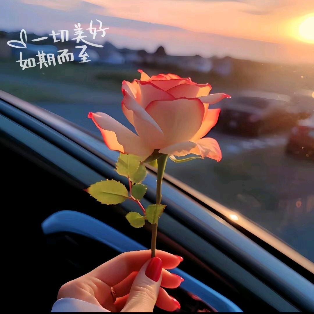玫瑰少年🌸