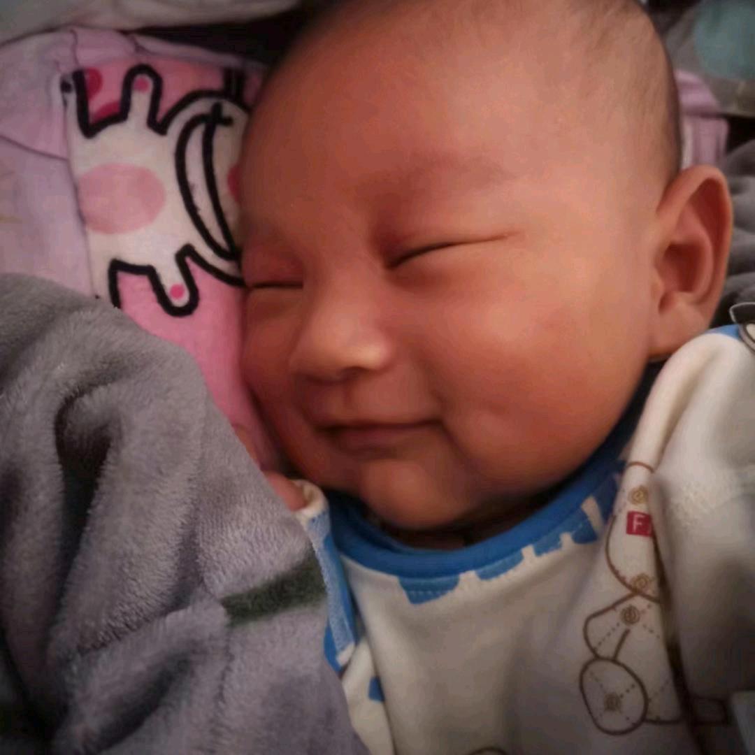 拼一个春夏秋冬😀