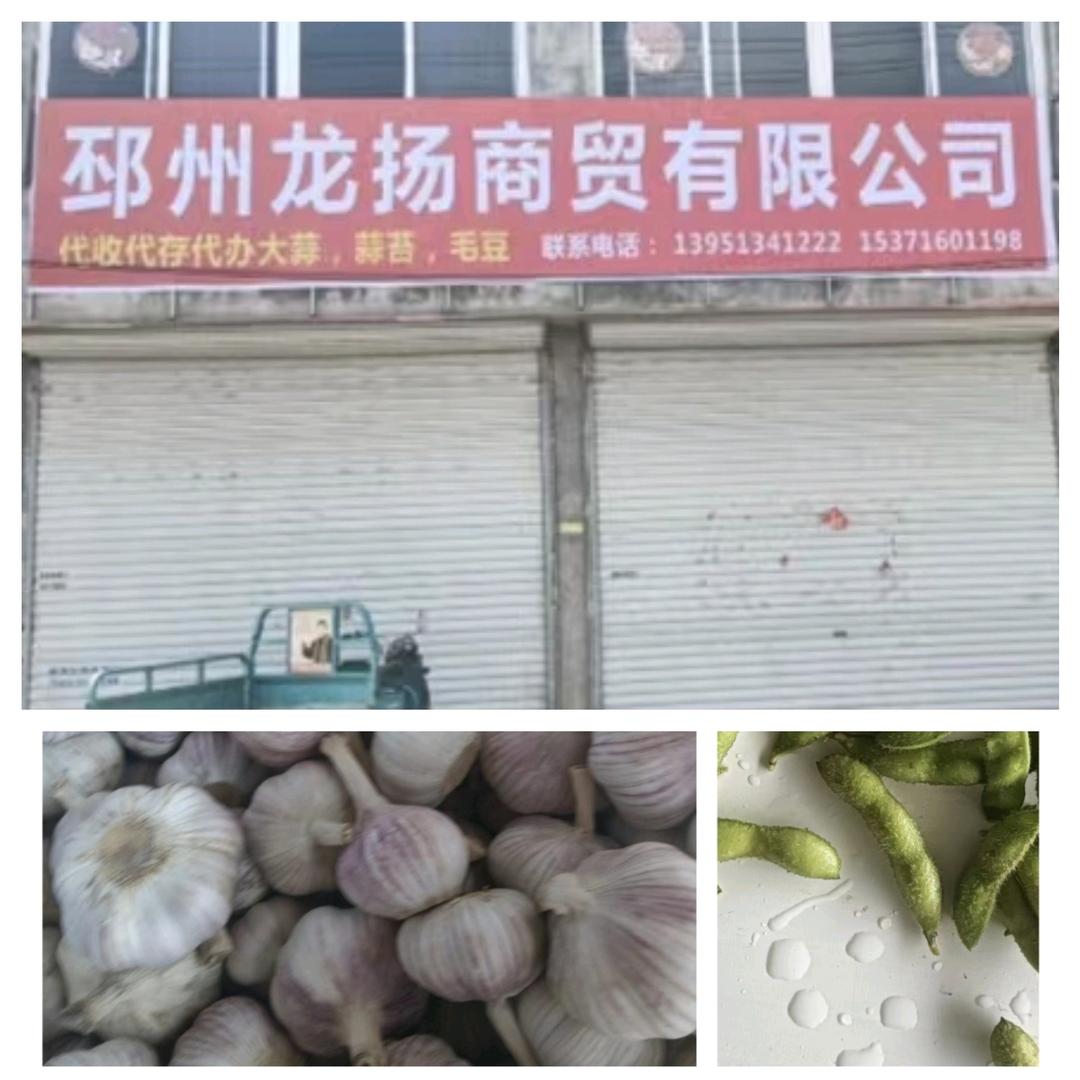 邳州龙扬商贸