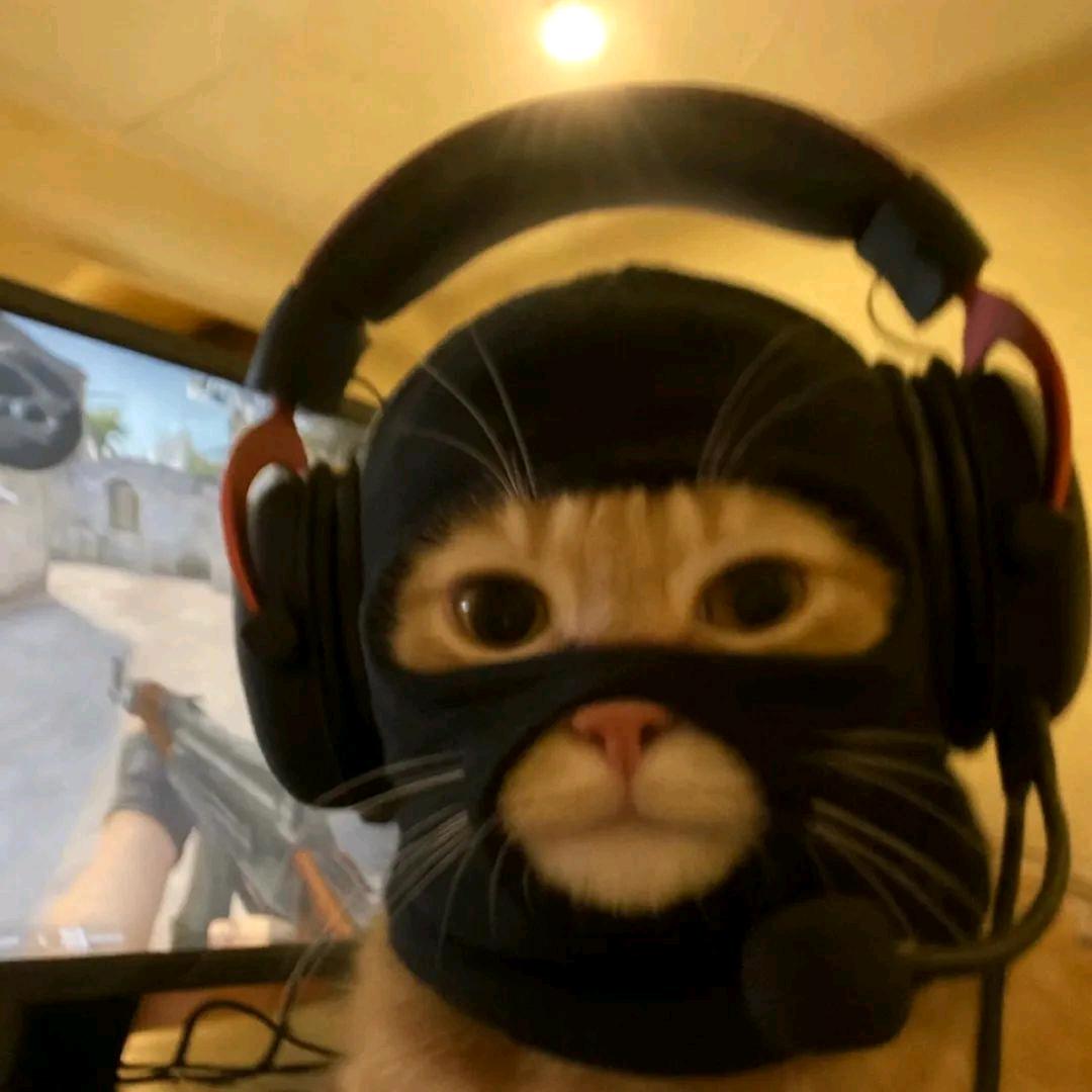 (இωஇ)