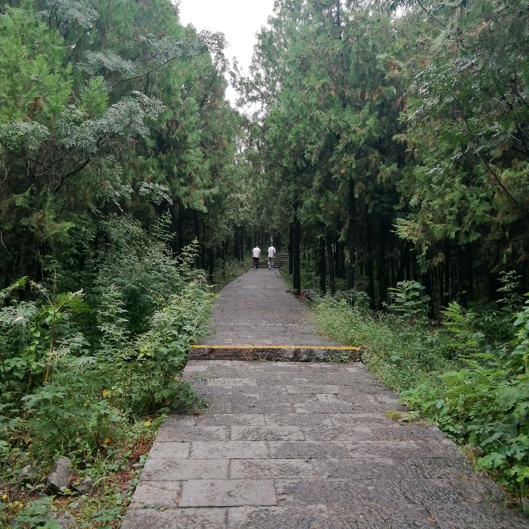 小 鱼