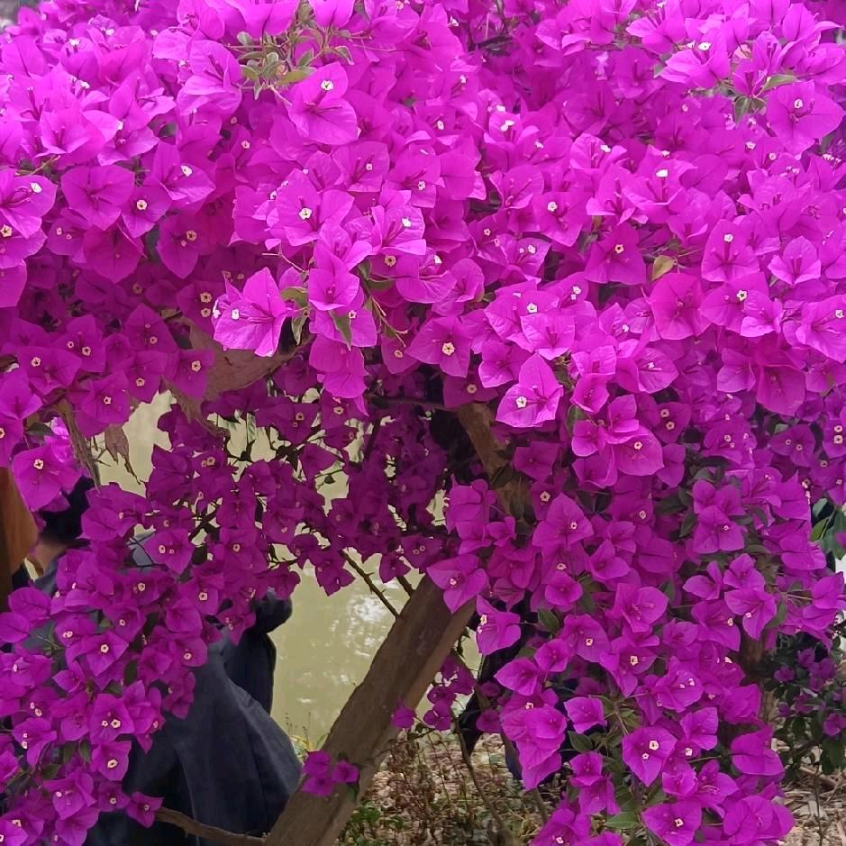 天黑我就想到你。