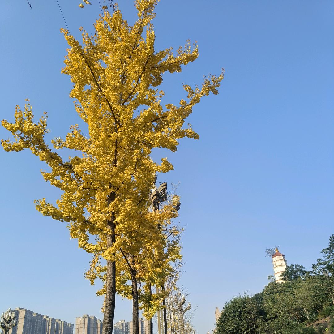 小苏打。