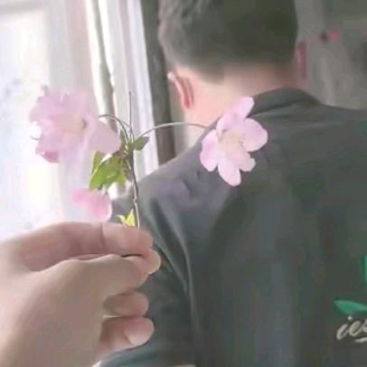 夏邑>小刘