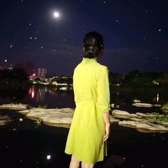 林子大了傻鸟都有