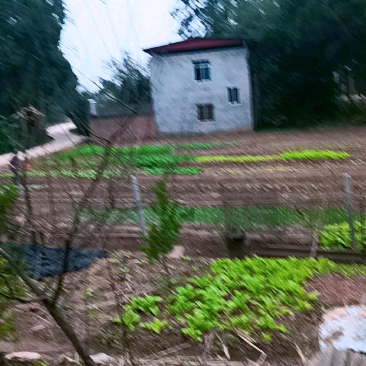 一家人平平安安，健健康康