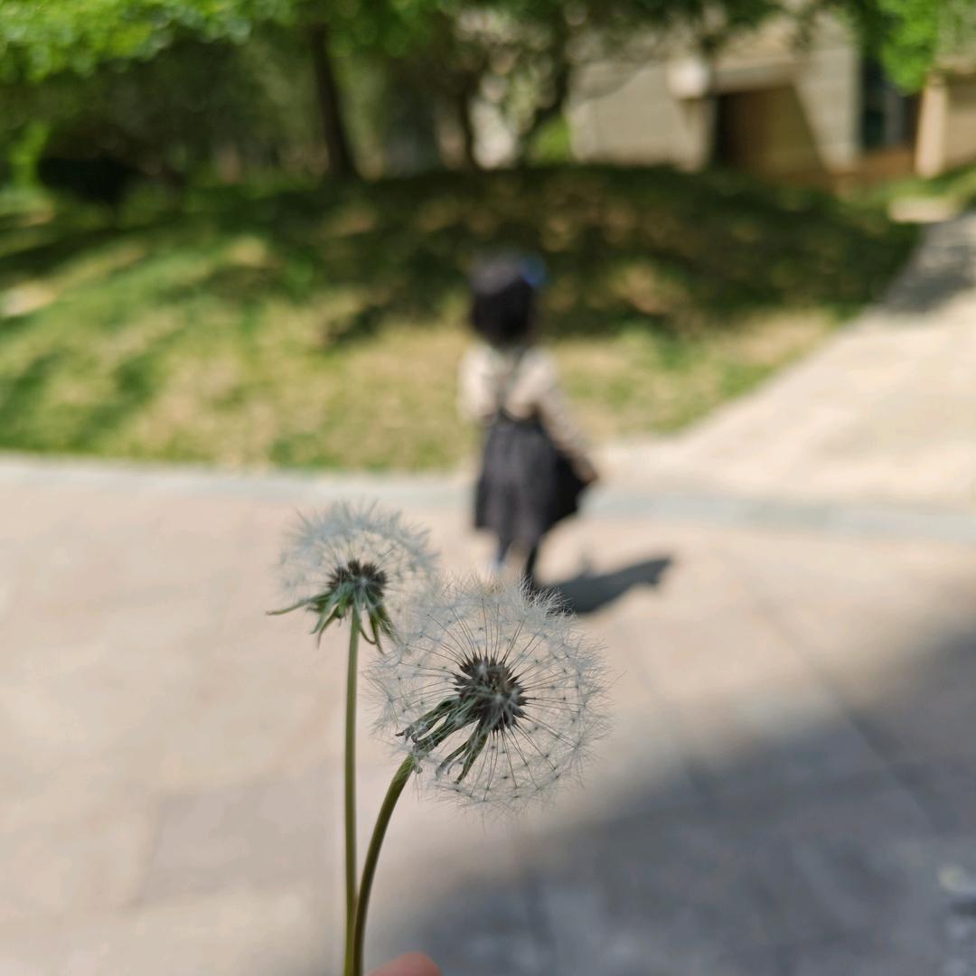 来财~