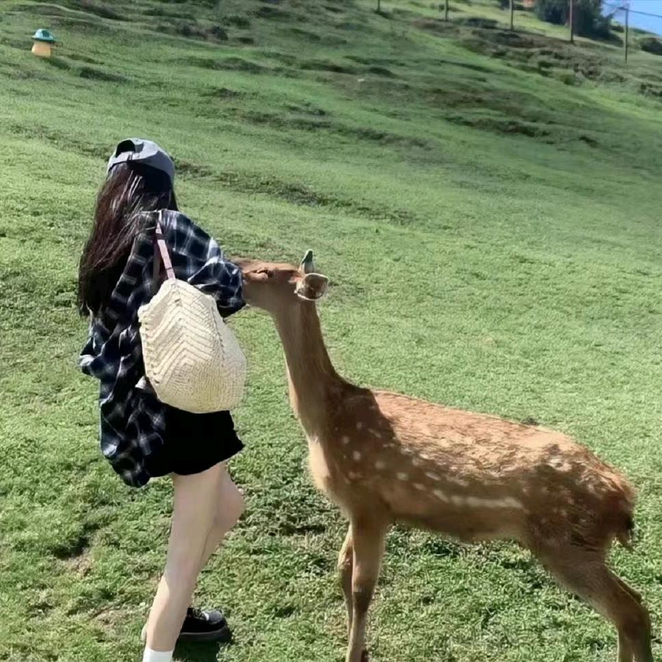 一姐