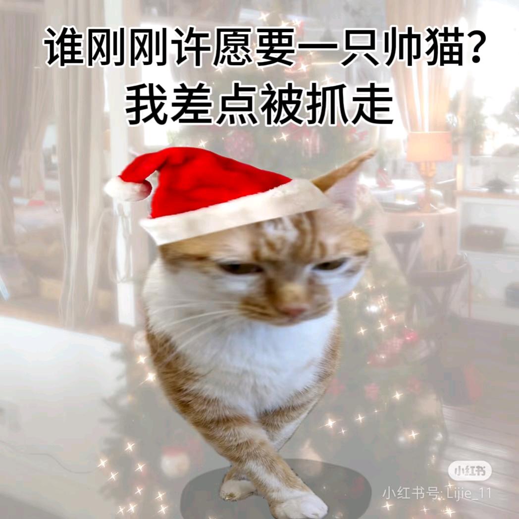 想食朱古力