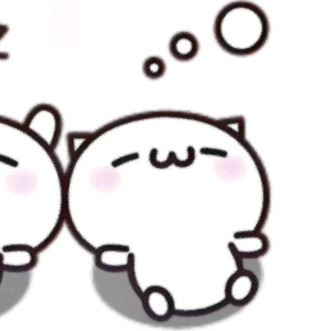 里脊肉max