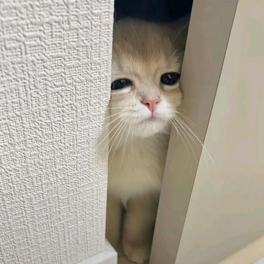 你的心事