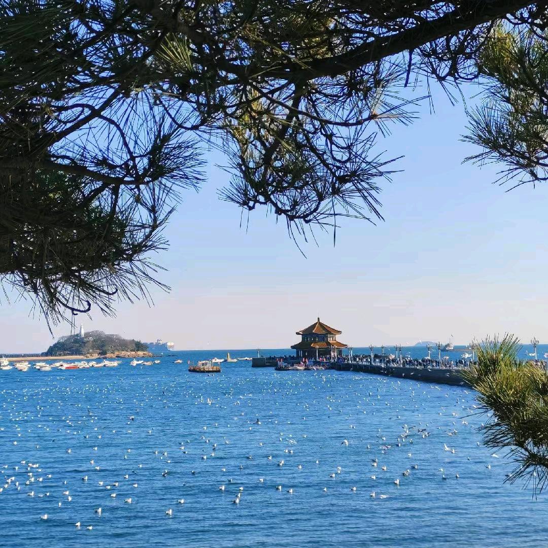 甜甜旅行