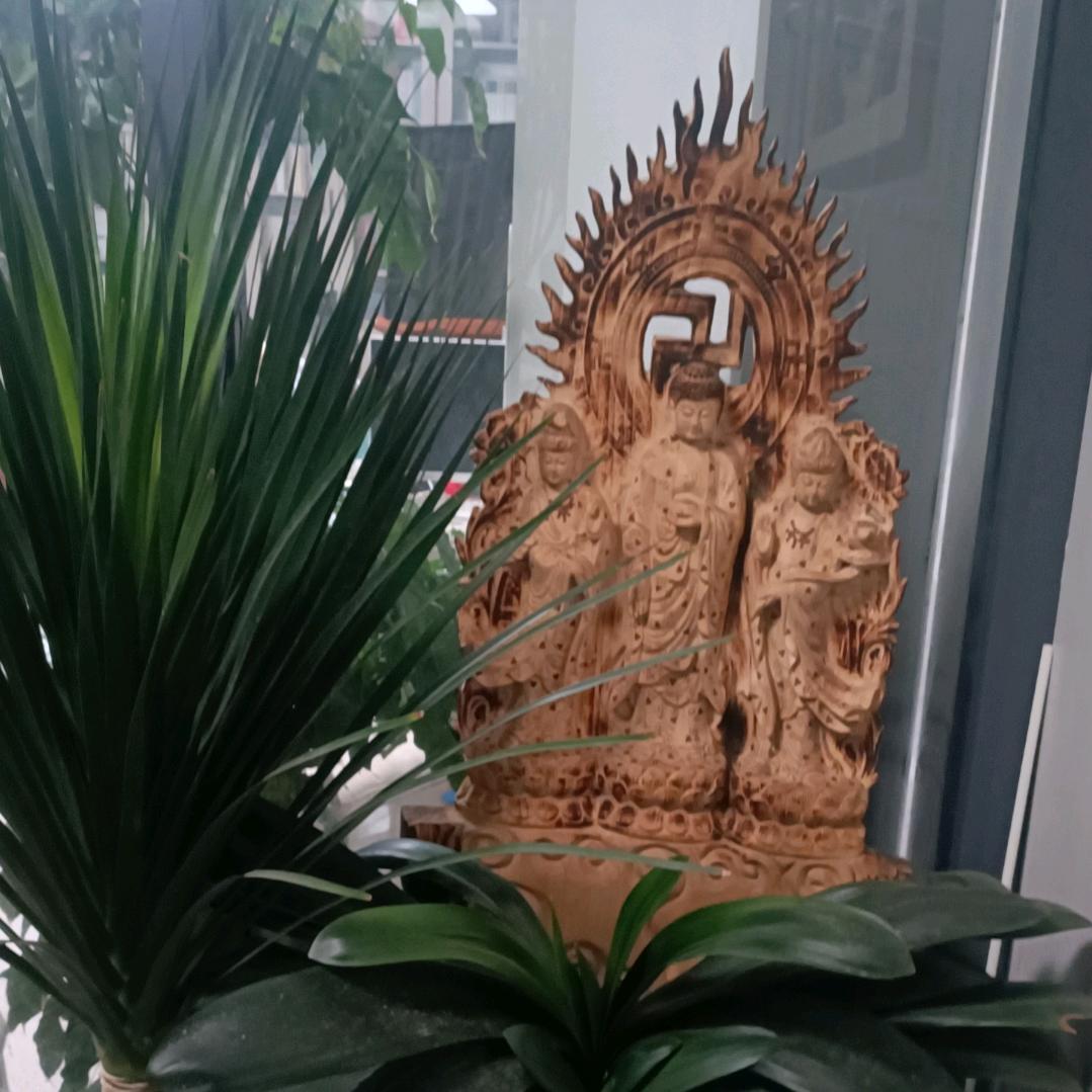 32676657018的头像