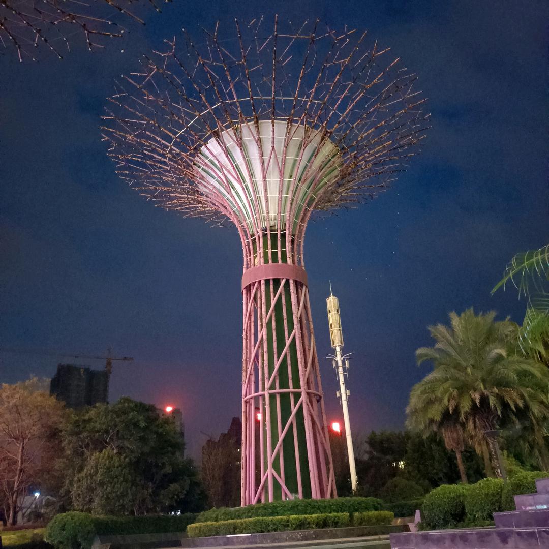 陆柒柒