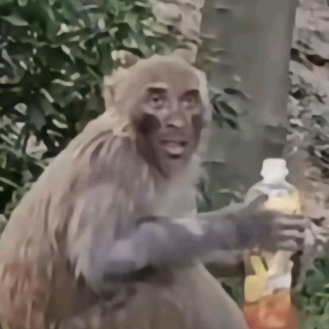 靠北