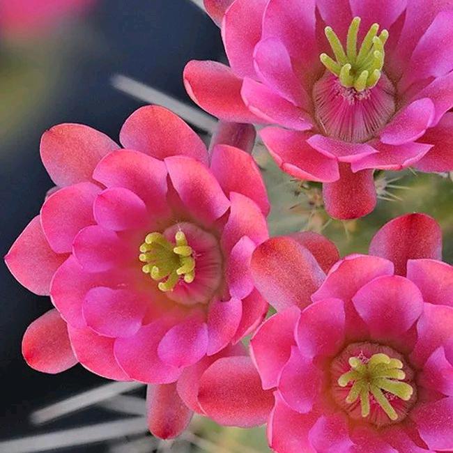 平安是福！拒私聊！