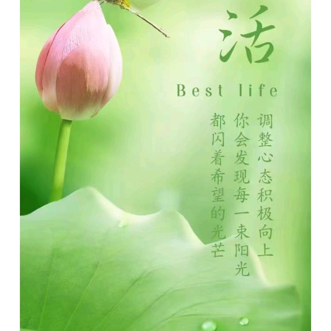 真如自在