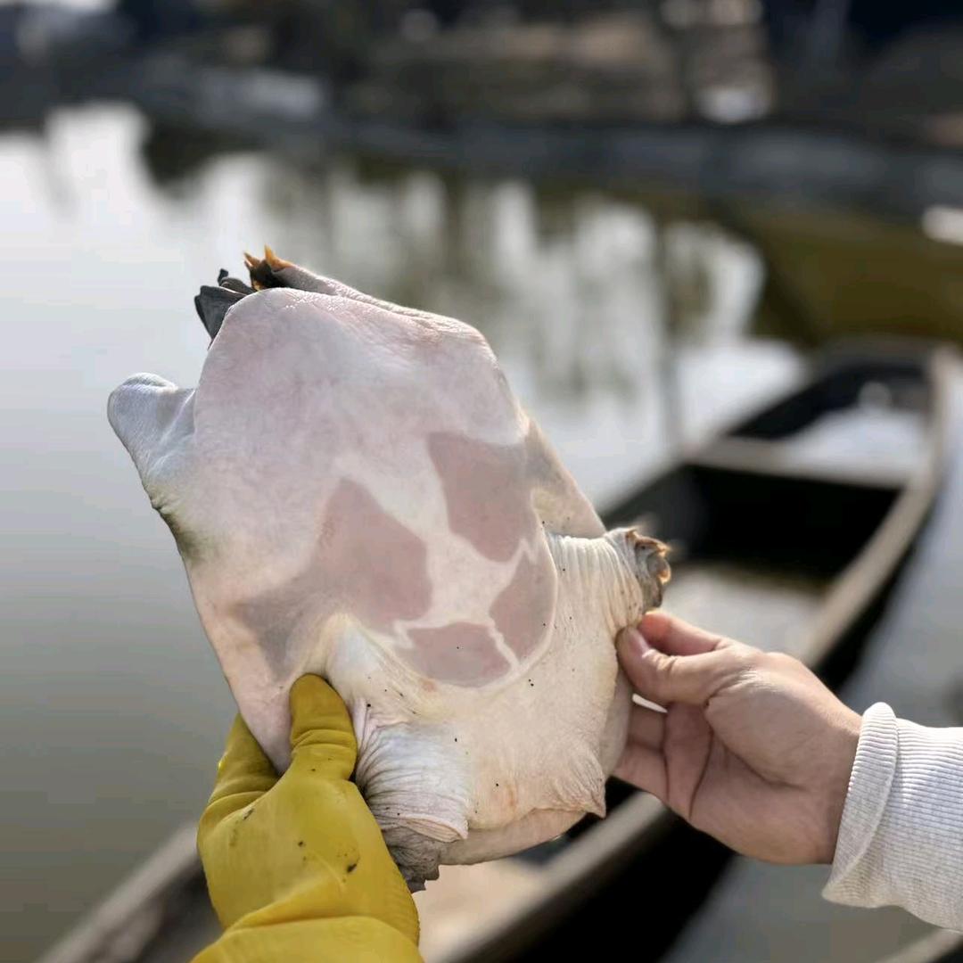 浓源水产