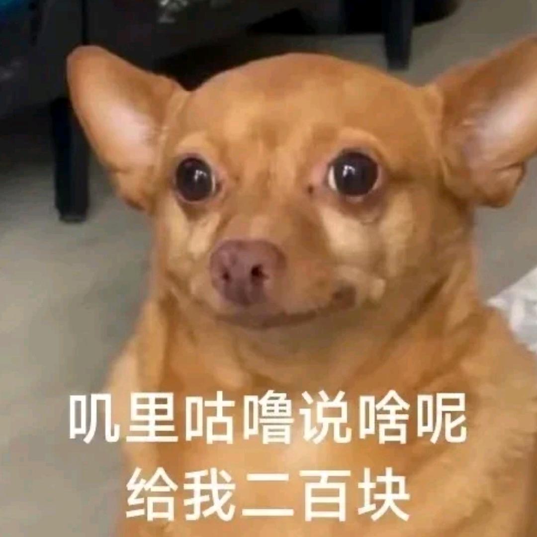 柚柚柚柚柚 zi