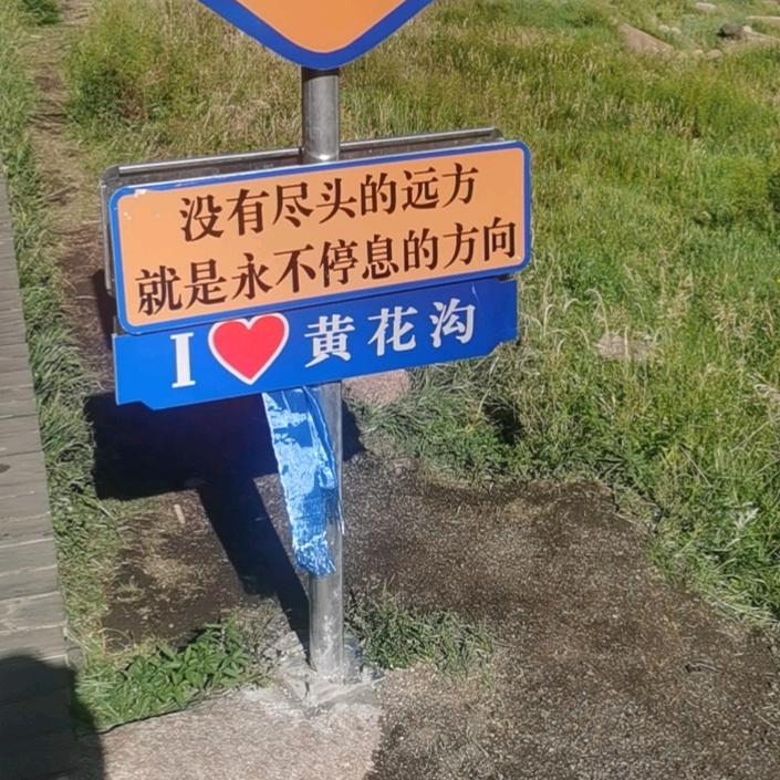 绿泽源老于